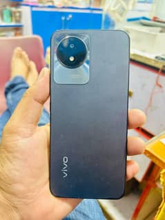 vivo