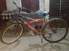 bicycale