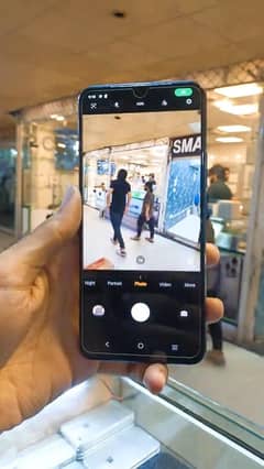 vivo