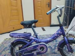 bic cycle