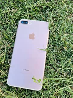 Iphone 7 plus pta approved