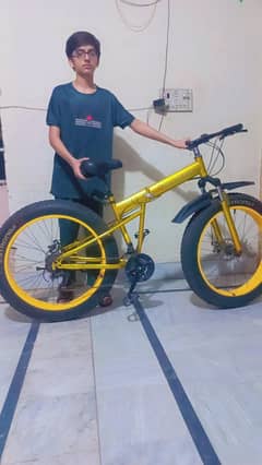 Mercedes benz Fat tyre  Folding cycle