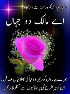 need driving jop