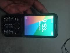 4g