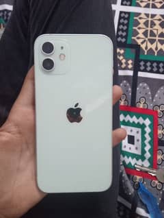 I phone12 64 bg panel mai dot hai minor sa baki all oky phone hai
