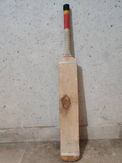 coconut bat