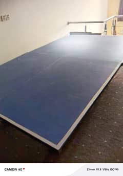 Less Used Table tennis