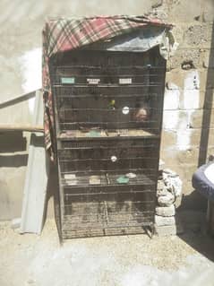 birds cage 8 portion