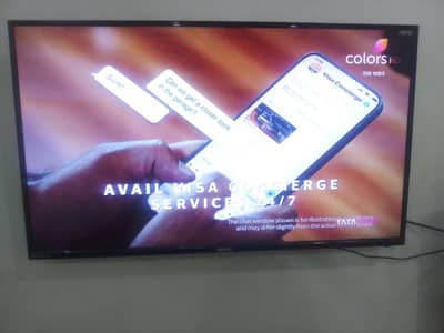 orient simple led 43 inches