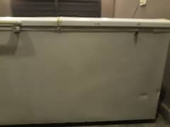 Wavws Twin Door Fridge / Freezer