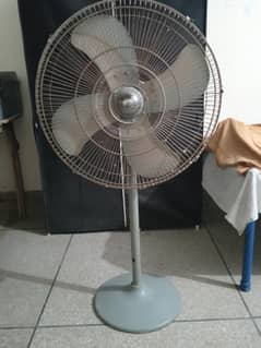 Royal Pedestal Fan