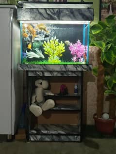 aquarium with fishes and all accessories