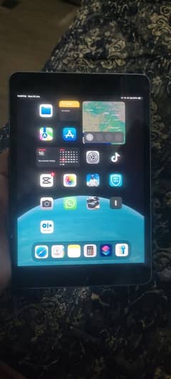IPAD MINI 5 all ok