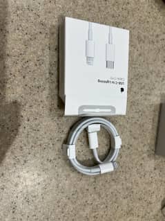 Apple Original Lightning Earphones and Cable
