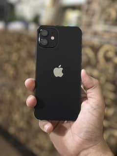 iPhone 12 jv