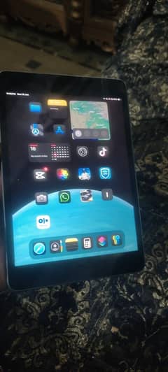 ipad mini 5 all ok