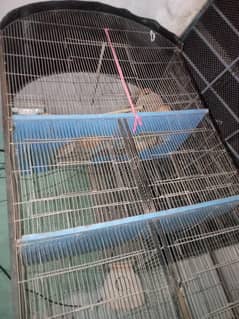 cage for sell