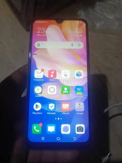 vivo