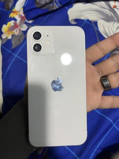 I phone 12