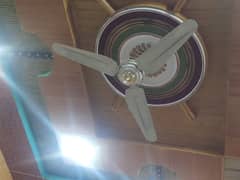 Celling fan