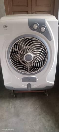 new Asia colar for sale urgent sale