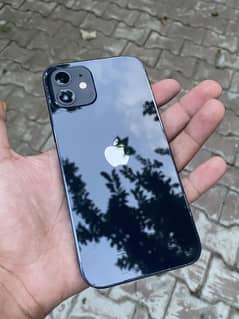 Iphone 12