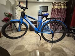 Large size Bicycle