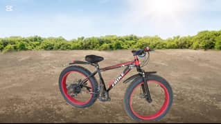 Fat bike
