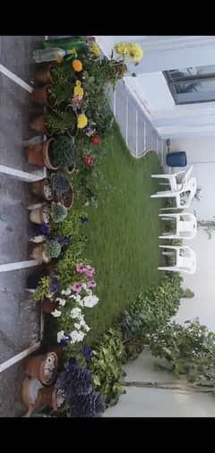 BUILT UP PROPERTY FOR SALE