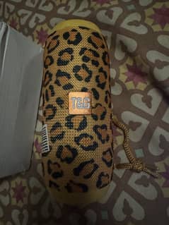 TG Portable Speaker