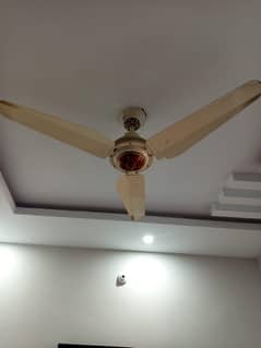 pak fan