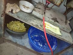 french fries counter complete saman
