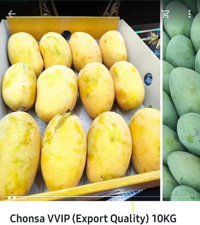 Best Export Quality Multani Mangoes delivery