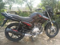 ybr 2023/24 model for sale