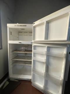 Haas Imported refrigerator and Freezer