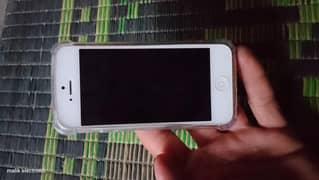 iphone 5s