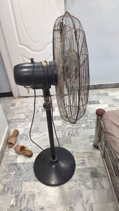 Royal Pedestal Fan