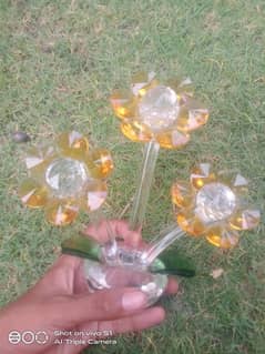 Show