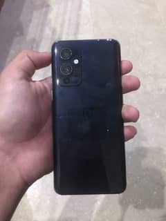 one Plus 9  dual sim pta prove 10 by 10 invest rate