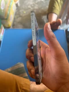 iPhone 13 Pro Max 256