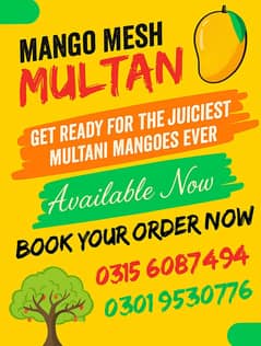 Fresh Sindhri & Dussehri Mangoes – 5kg & 10kg – MANGO MESH MULTAN