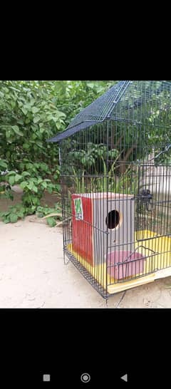 parrots cage