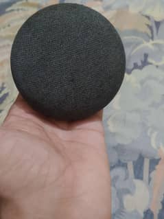 Google assistant original nest mini