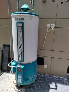 Tesla (Electric + Gas)