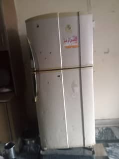 frije bilkul new condition hai