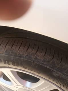 new total janion