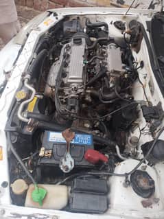 caltus 17 model janven condition 0308/42/13/500