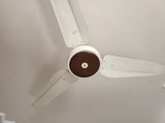 SK AC Ceiling Fan
