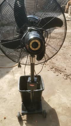 Royal Fan