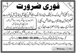 female staff Required for office work